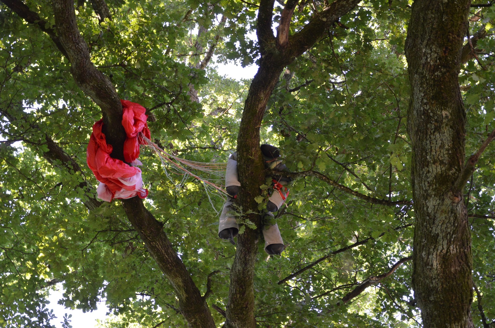 01.08.2020 - Übung: Paragleiter von Baum gerettet