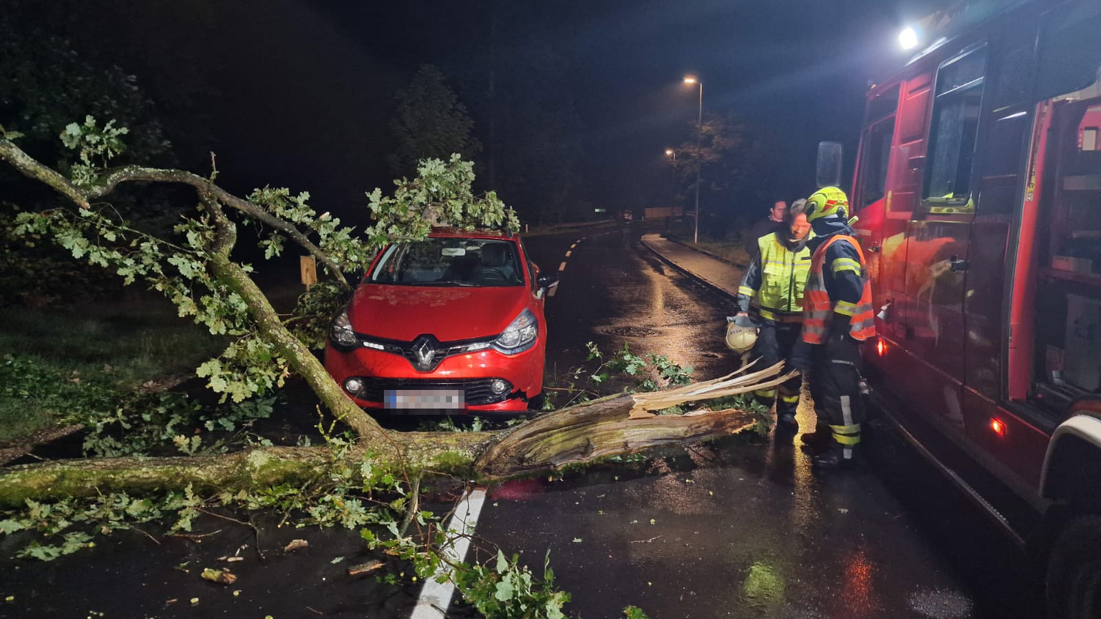 20.08.2022 - EINSATZ: Baum stürzt vor fahrendes Auto