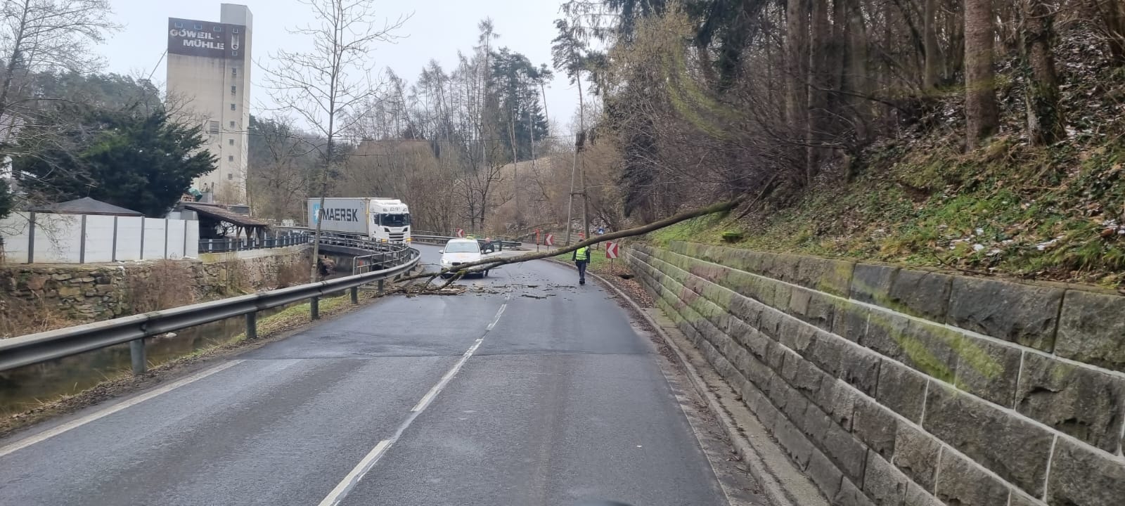 30.01.2023 - EINSATZ: Baum über Straße