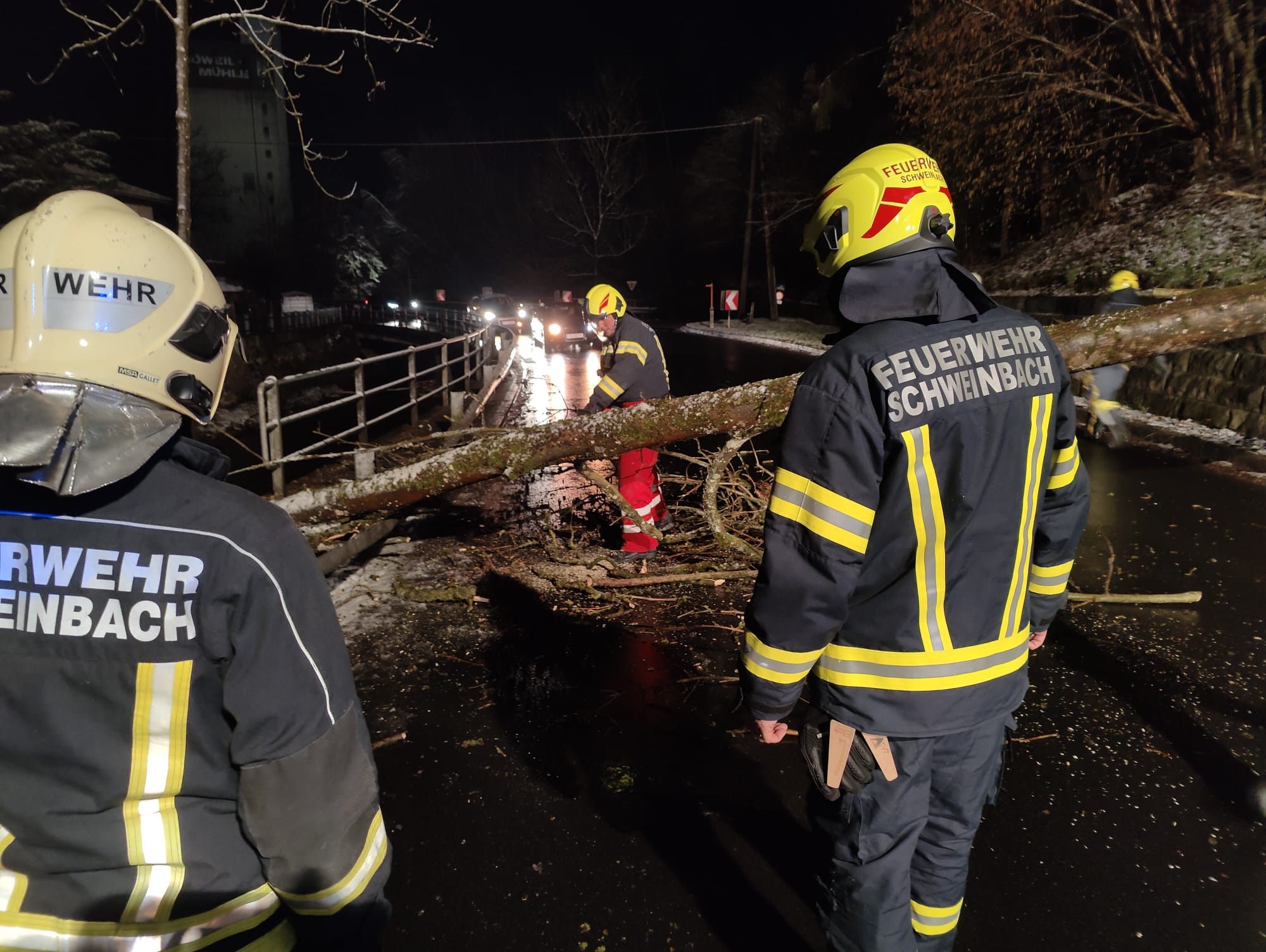 25.02.2023 - EINSATZ: Baum stürzte über Gusentaler Straße