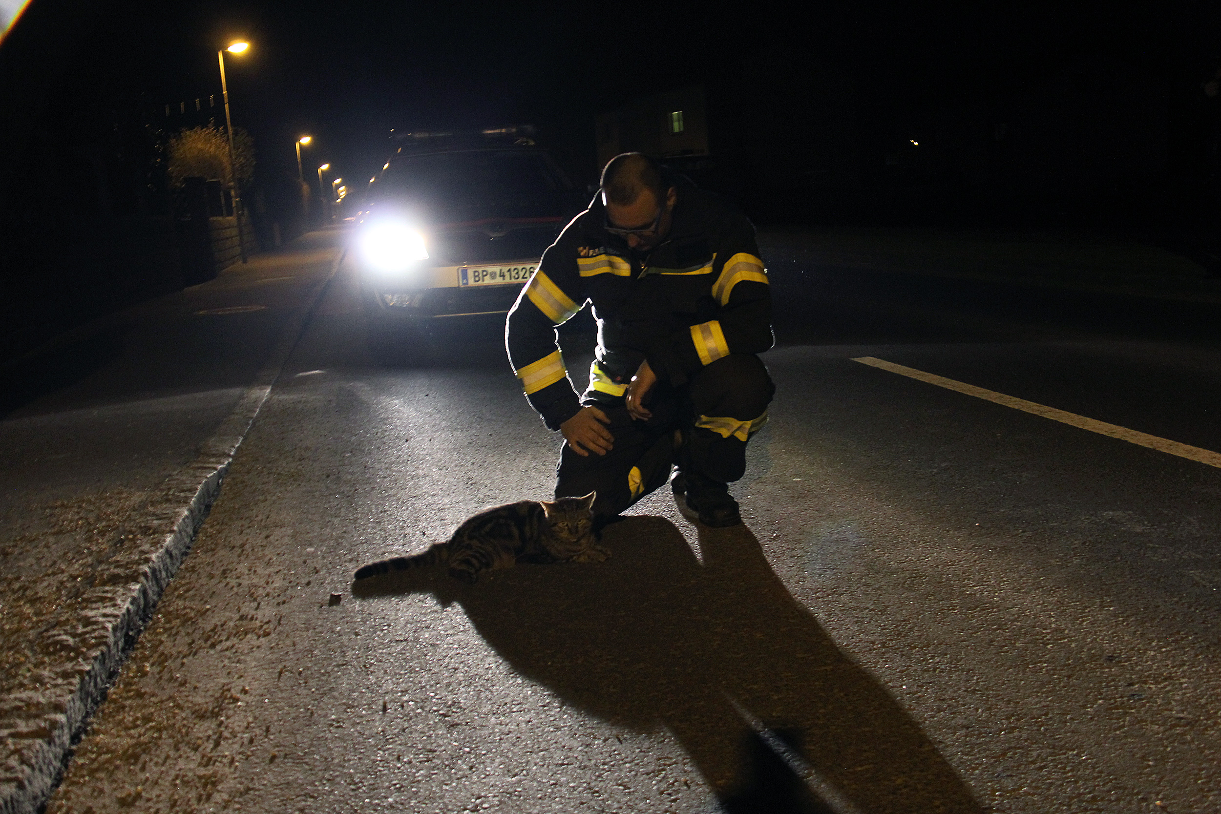 23.02.2017 - EINSATZ: Tierrettung - Katze angefahren