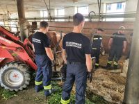 tierrettung-schweingach3 tierrettung-schweingach3