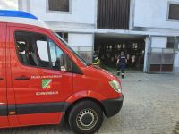 tierrettung-schweingach4 tierrettung-schweingach4