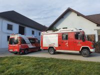 tierrettung-schweingach5 tierrettung-schweingach5