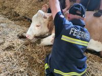 tierrettung-schweingach6 tierrettung-schweingach6